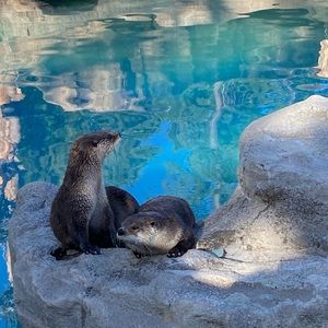 Meet your Posher, Paris